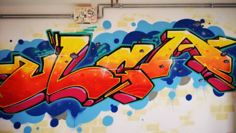 Plesne delavnice za mlade