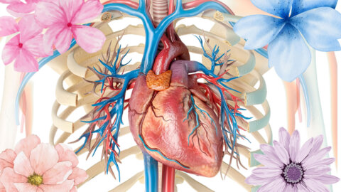 Noč človeškega telesa in sprostitve