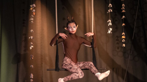 Mesto cirkuških sanj