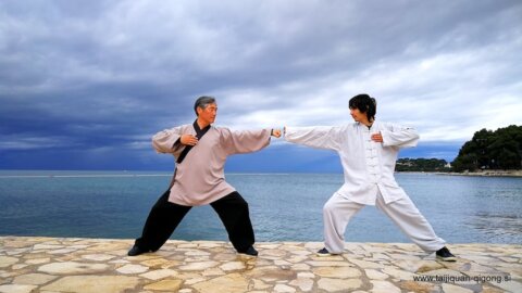 Od Kung Fuja do Taijiquana: Pot notranjih veščin